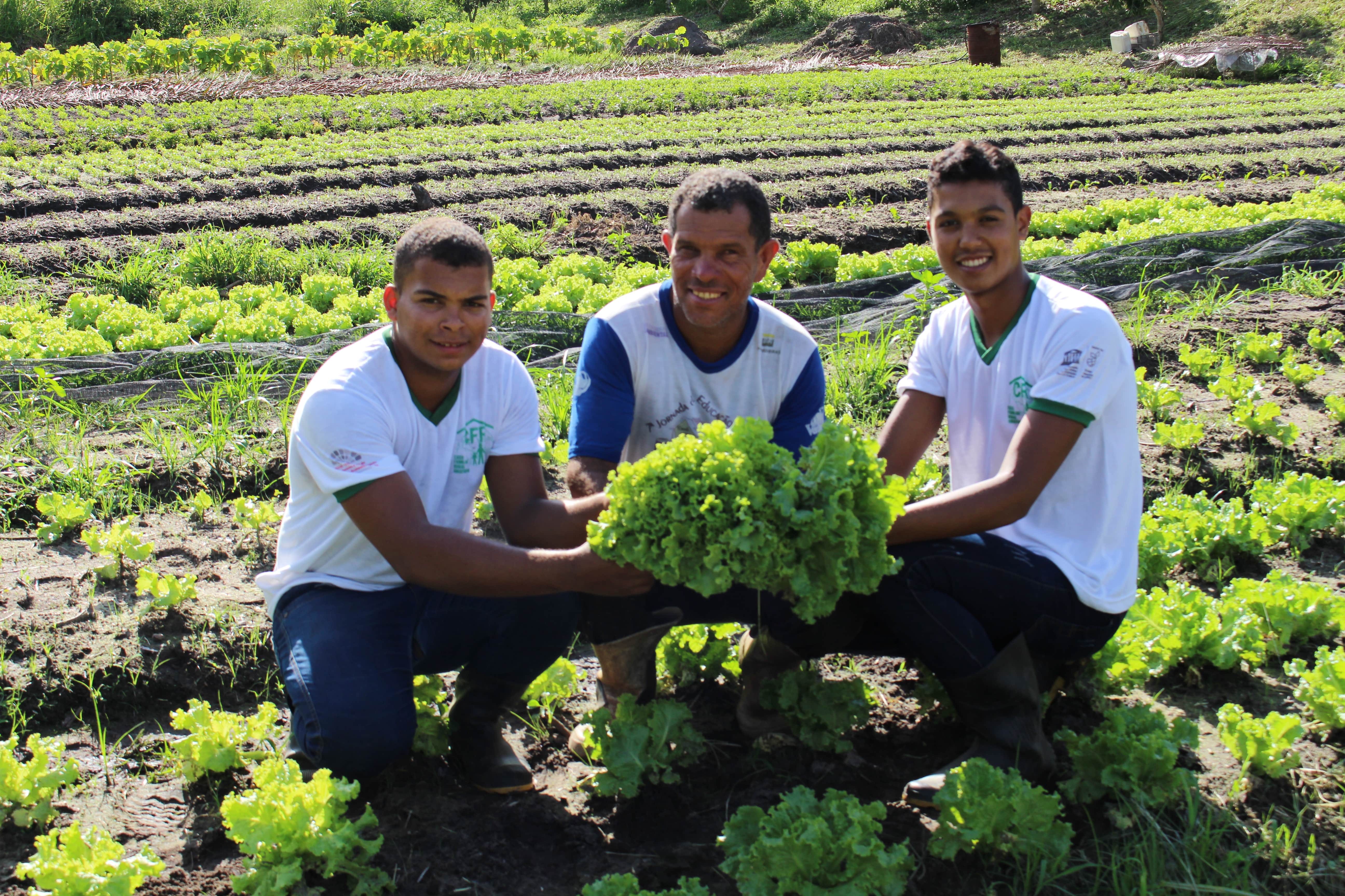 Projeto Educativo de Horticultura implantado na propriedade do jovemIMG_2207-min.JPG